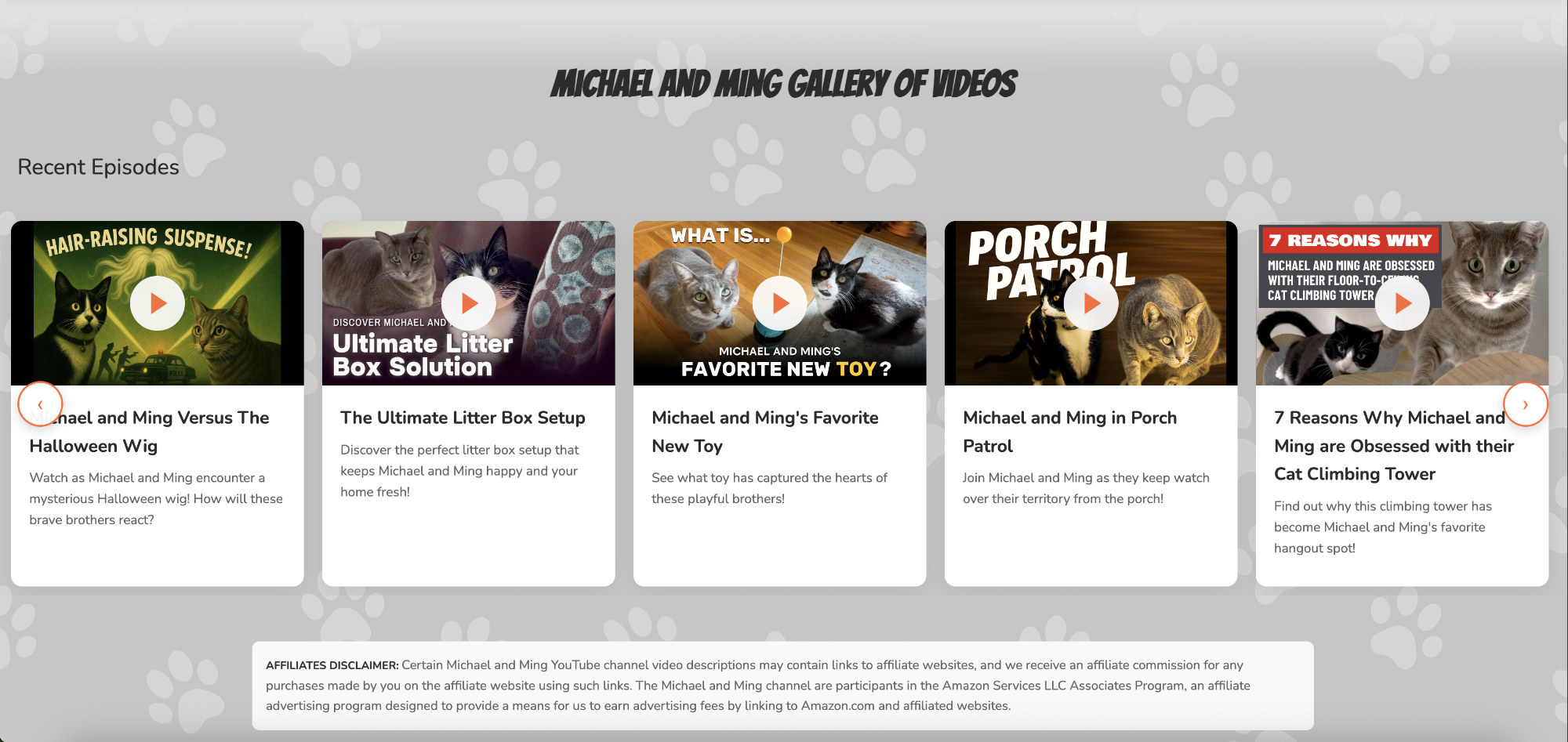 Michael and Ming video gallery section