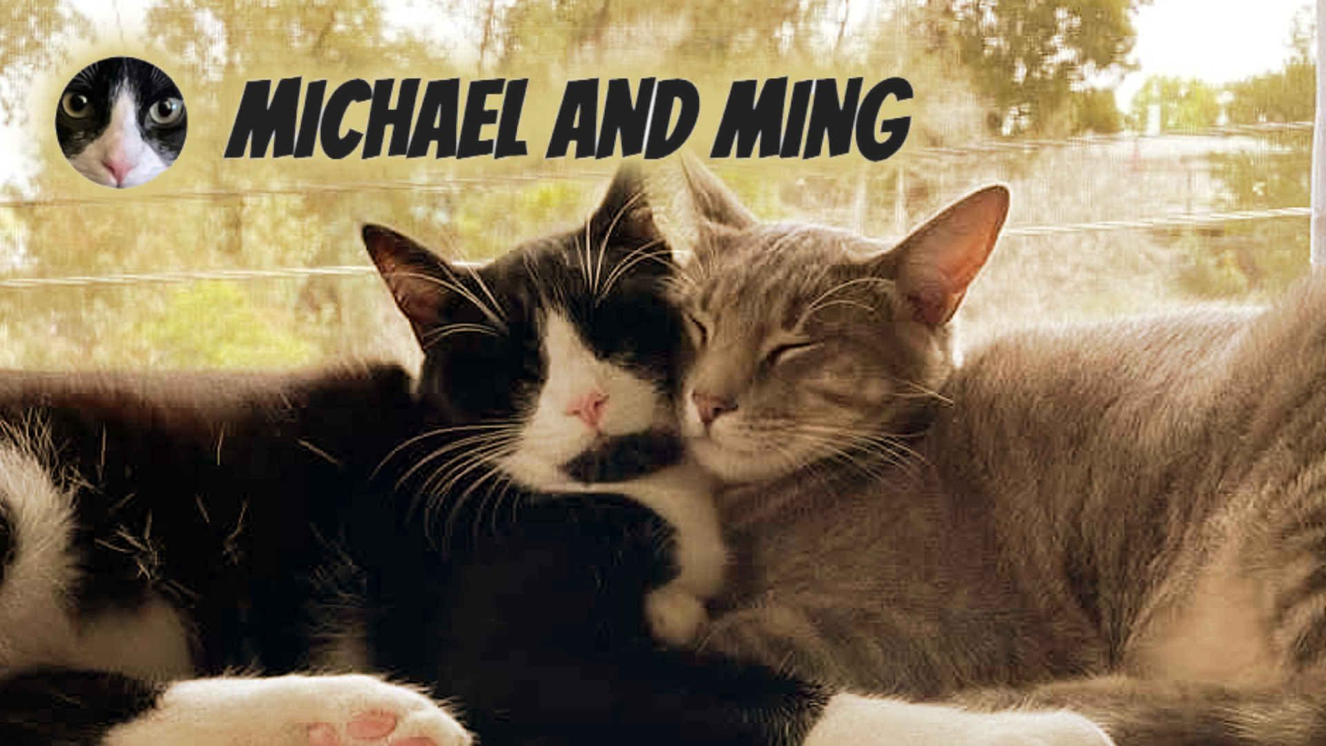 Michael and Ming website design thumbnail